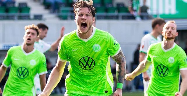 这些坚韧的 这些坚韧的