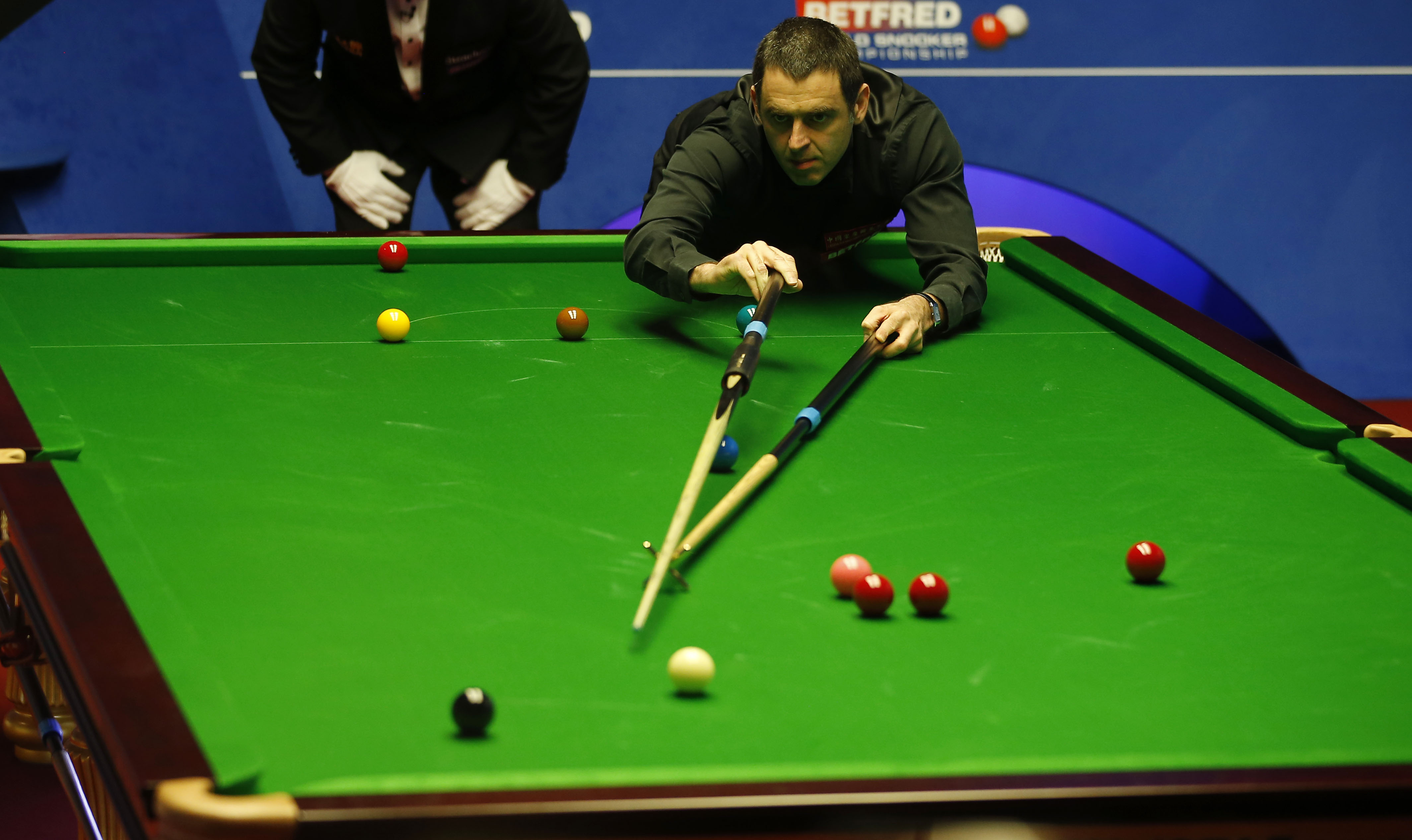 未來奠定了 未來奠定了