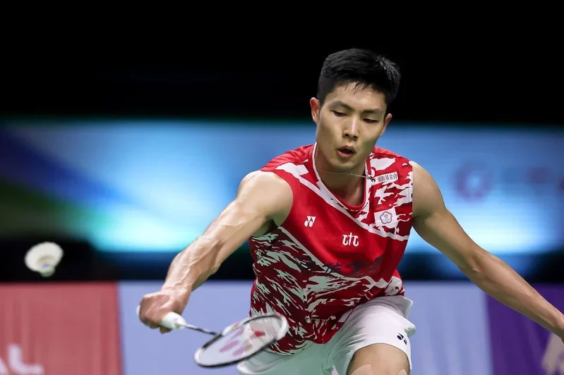 森林狼的新 森林狼的新