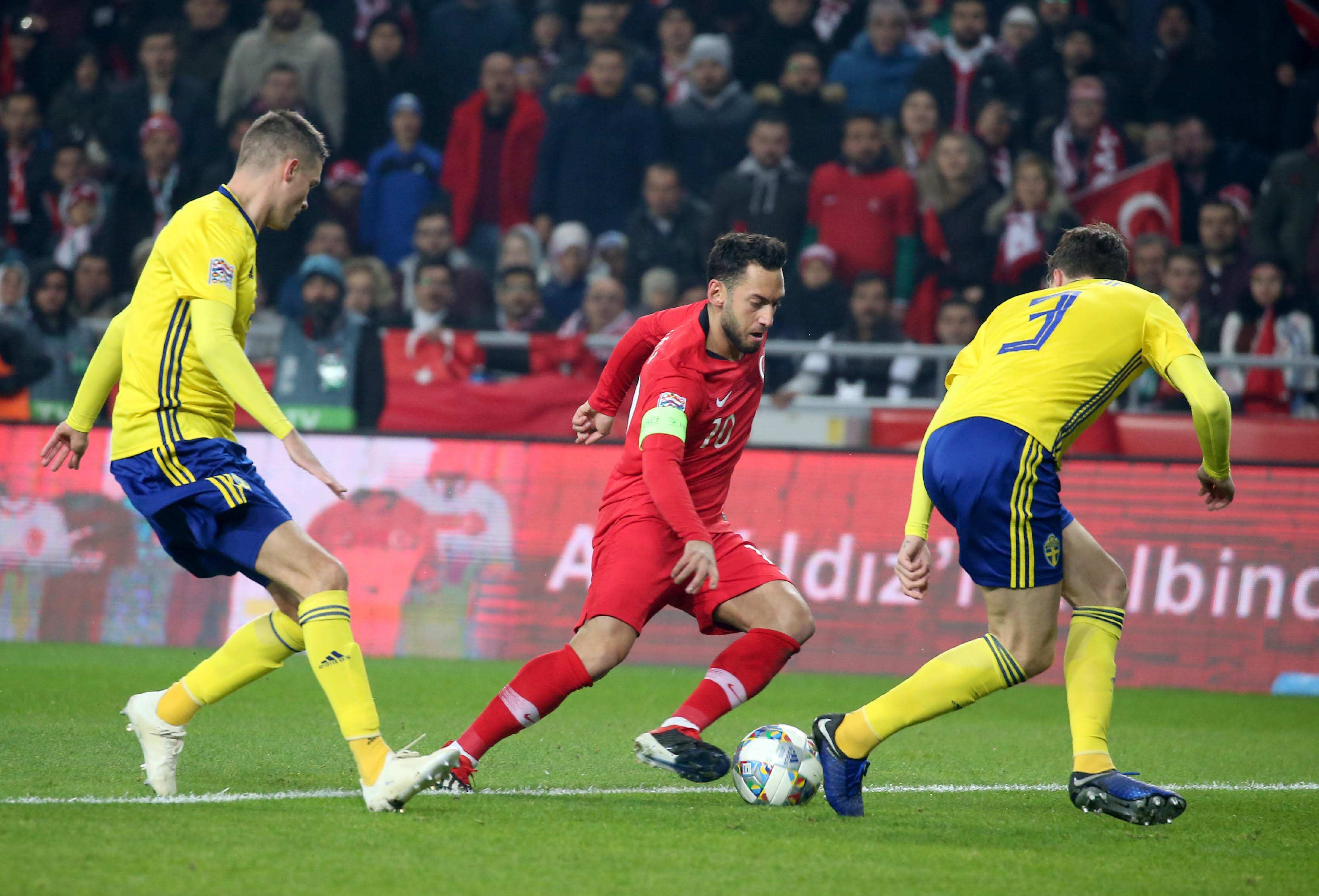 鹈鹕并没有 鹈鹕并没有