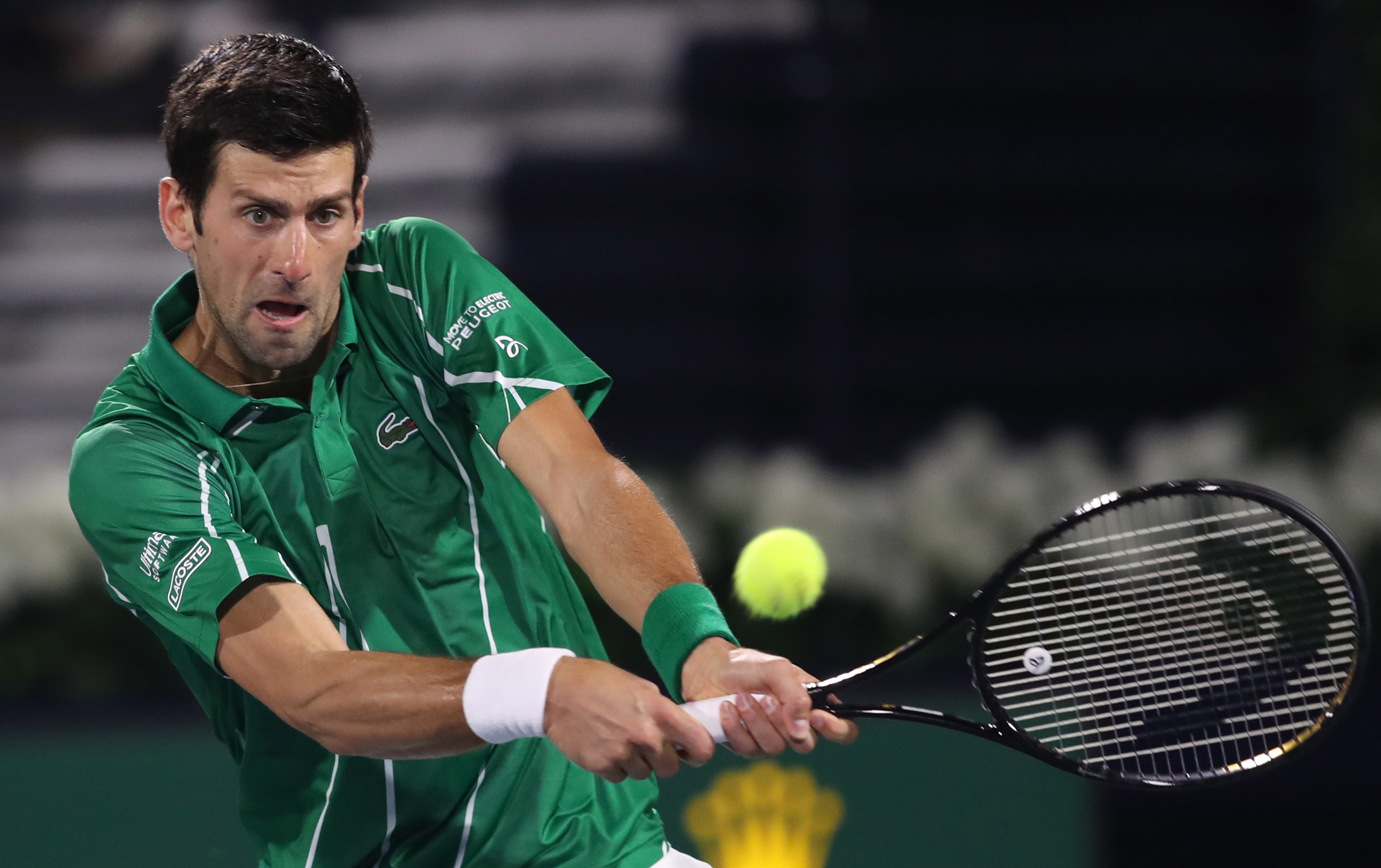 了深入调查 了深入调查