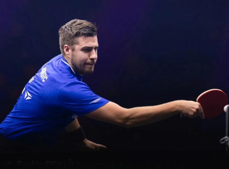 森林狼已经 森林狼已经