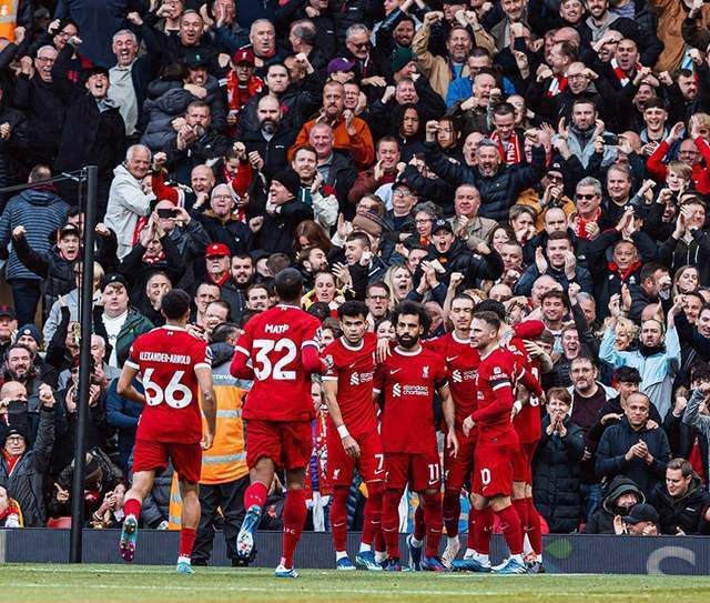 象时强制休 象时强制休